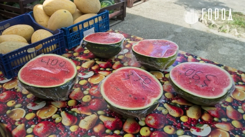 Тысячи арбузов гниют на полях Кубани